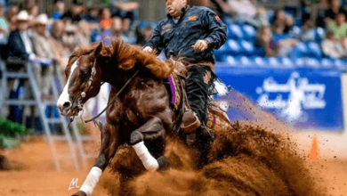 How Is Reining Scored in Competitions?