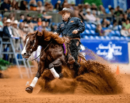 How Is Reining Scored in Competitions?