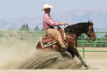 How Do Riders Maintain Precise Control During Reining Maneuvers?