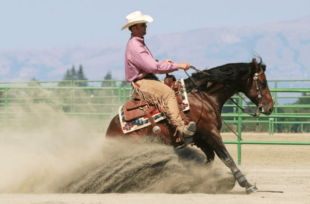 How Do Riders Maintain Precise Control During Reining Maneuvers?