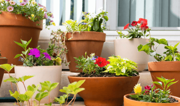 Garden pots