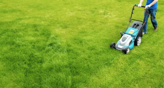 How to Choose the Right Lawn Care Service