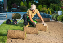 Landscaping for Sloped Yards: Solutions That Work in Sydney