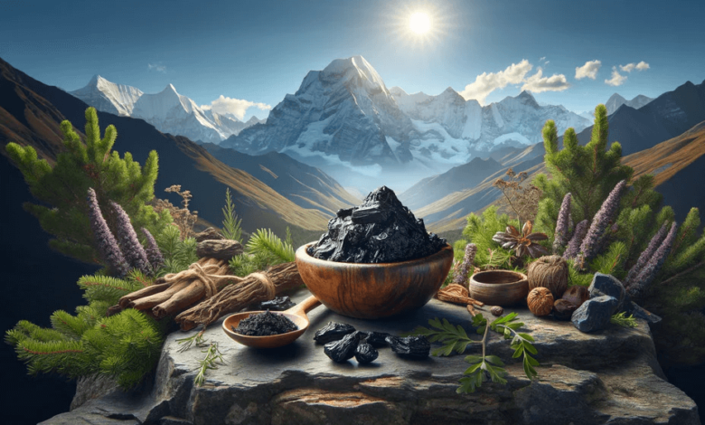 Pure Himalayan Shilijit Excellence: Discover Why This Is the Best Himalayan Shilijit for Lasting Vitality