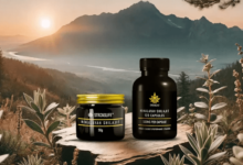 Pure Himalayan Shilijit Excellence: Discover Why This Is the Best Himalayan Shilijit for Lasting Vitality
