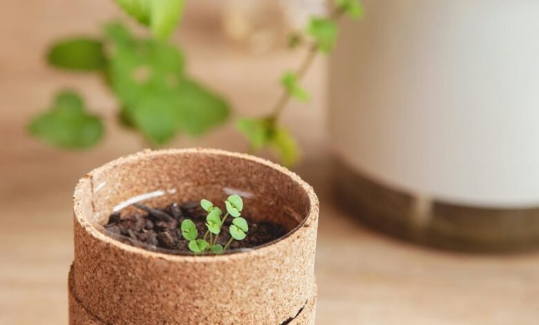 emerging markets trailblazers unite