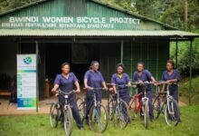 global project momentum initiatives