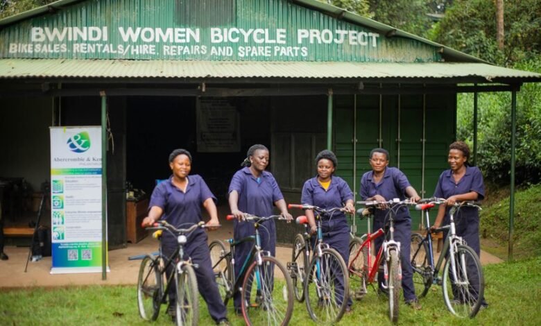 global project momentum initiatives