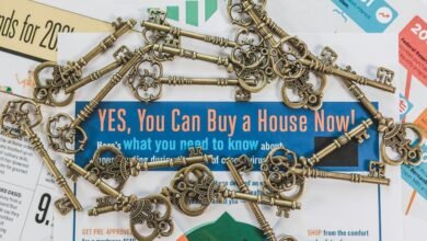 market opportunities initiative launch