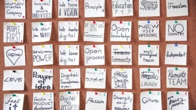 transformative project initiatives