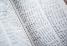 linguistic prefix insight portal