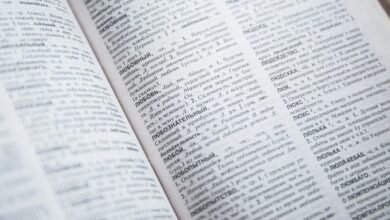 linguistic prefix insight portal