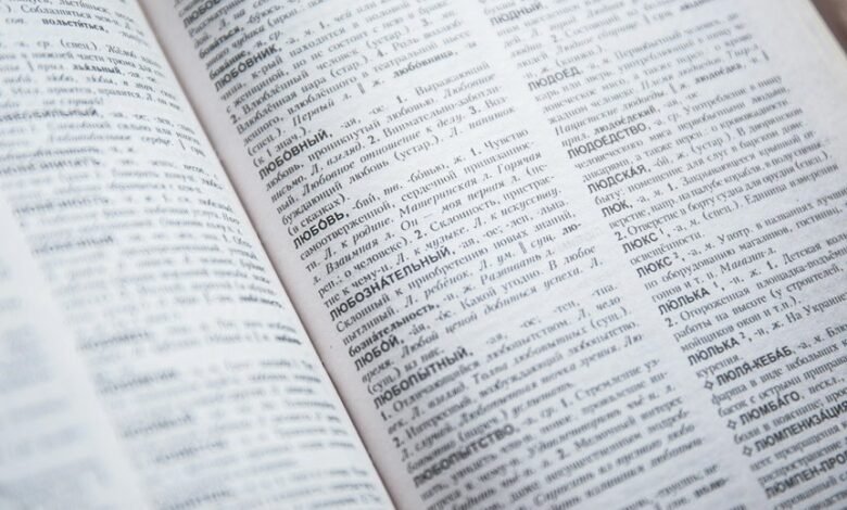 linguistic prefix insight portal