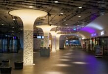 personal name identity discovery exploring identity search interest