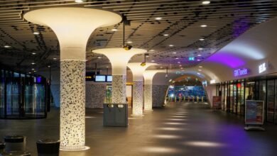 personal name identity discovery exploring identity search interest