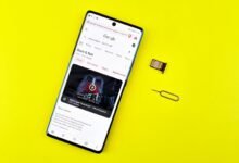 phone search tool portal keywords reveal free lookup