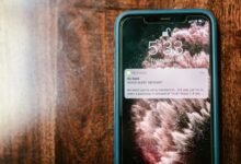 scam detection phone verification queries