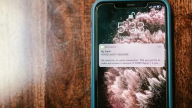scam detection phone verification queries