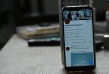 streaming platform research portal ofillmyzilla com revealing searches