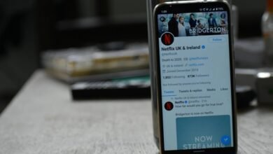 streaming platform research portal ofillmyzilla com revealing searches