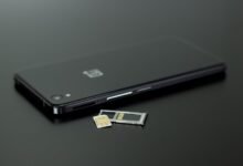 access public number registry data