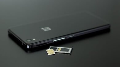 access public number registry data