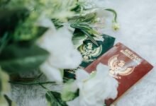 browse trusted registry sources for ids