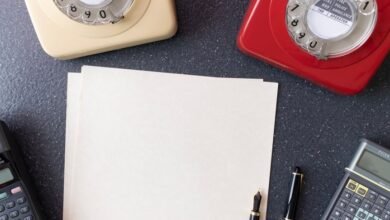 inspect specific number lookup records