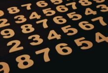 inspect specific registry numbers listed