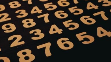 inspect specific registry numbers listed