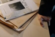 registry investigation data for five ids