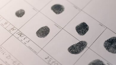 registry investigation records list numbers