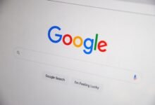 registry search results five ids listed