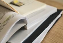 study registry numbers and ids listed
